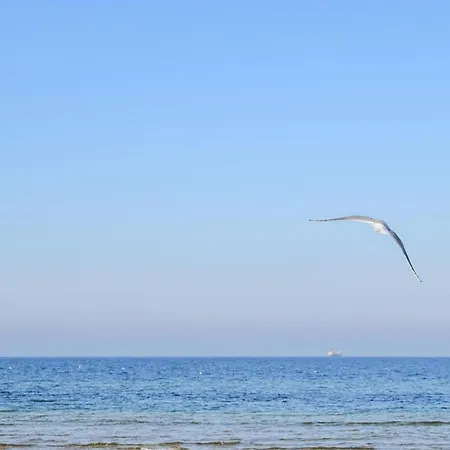 Gorgeous In * Jezierzany