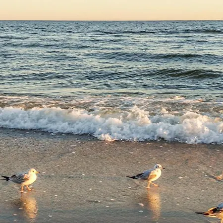 Gorgeous In Appartamento