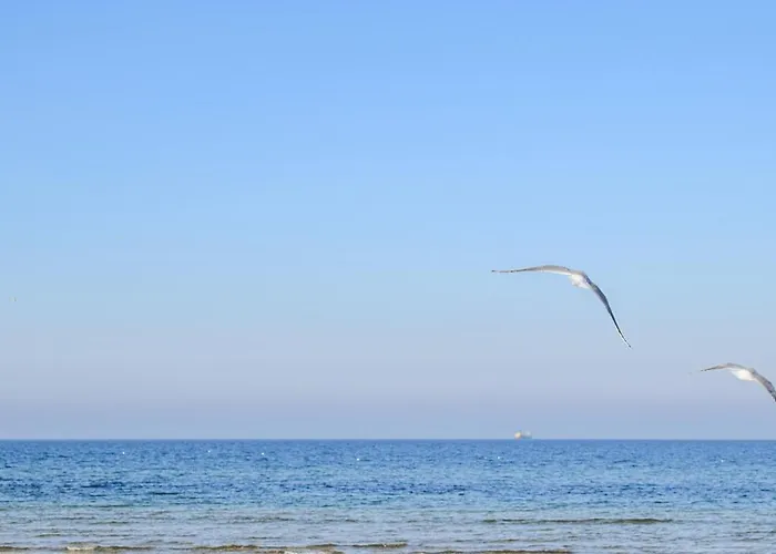 Gorgeous In * Jezierzany